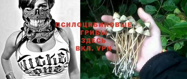 прущая мука Вязники