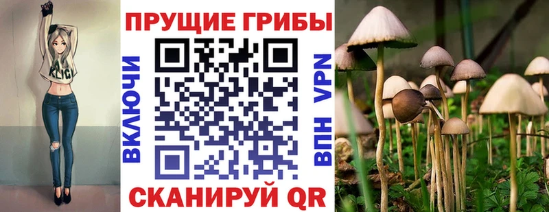 Галлюциногенные грибы мицелий  гидра ССЫЛКА  Гаврилов Посад 